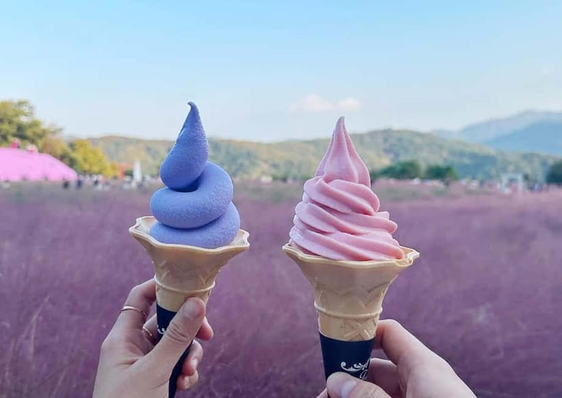 From Seoul: Pocheon, Sanjung Lake and Bidulginang Fall Trip - Herb Island, gardens, herbs, and pink muhly grass