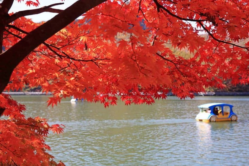 From Seoul: Pocheon, Sanjung Lake and Bidulginang Fall Trip - A guide can turn a long day into a manageable one