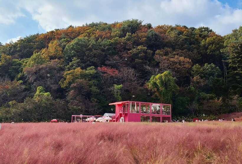 From Seoul: Pocheon, Sanjung Lake and Bidulginang Fall Trip - Choosing the best season and day