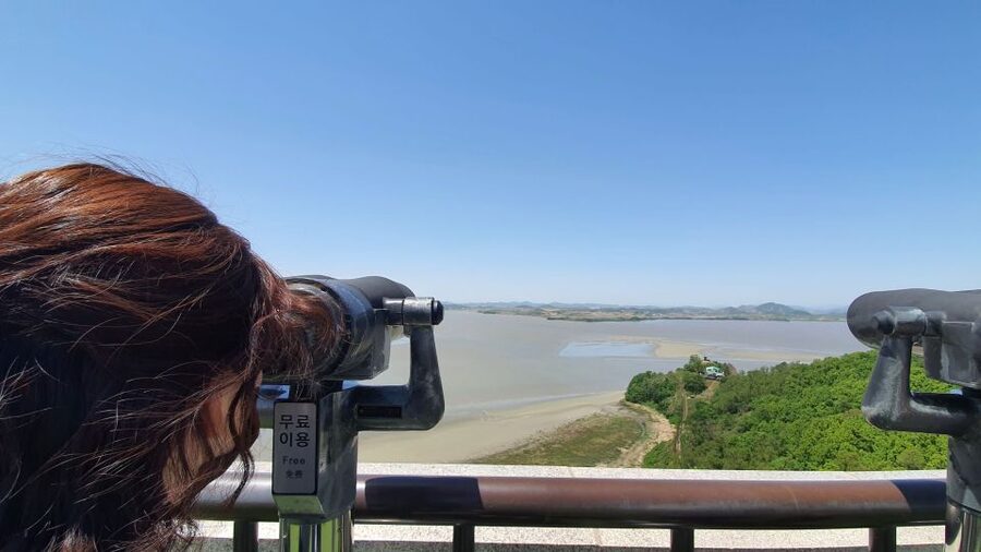 From Seoul: Private DMZ and Odusan Observatory Full-Day Tour - Leaving Seoul in a private vehicle
