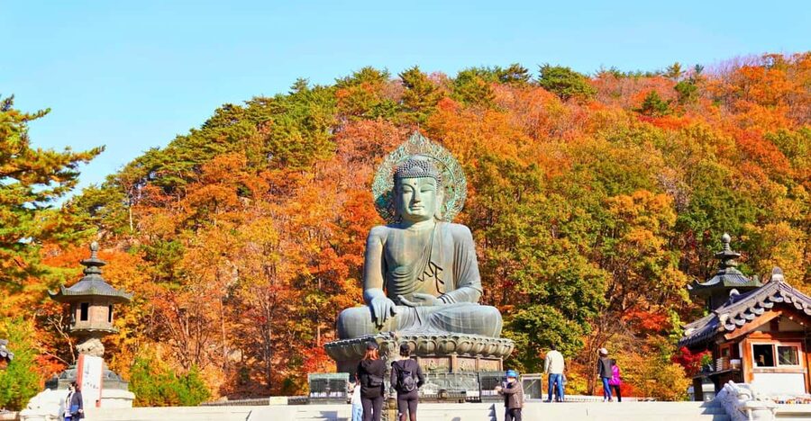 From Seoul: Seoraksan Mountain with Cable Car- Shuttle Bus - Seoraksan in one day from Seoul
