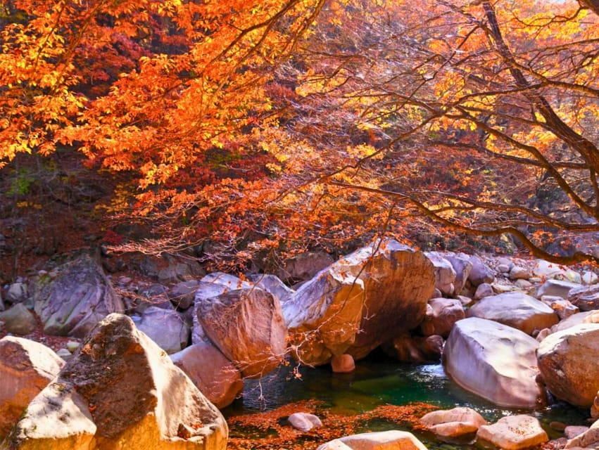 From Seoul: Seoraksan Mountain with Cable Car- Shuttle Bus - FAQ