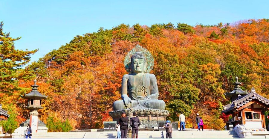 From Seoul: Seoraksan Mountain with Cable Car- Shuttle Bus - Autumn color at Seoraksan