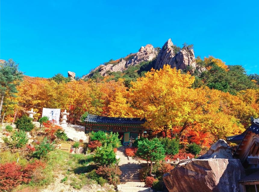 From Seoul: Seoraksan Mountain with Cable Car- Shuttle Bus - How the day suits different visitors