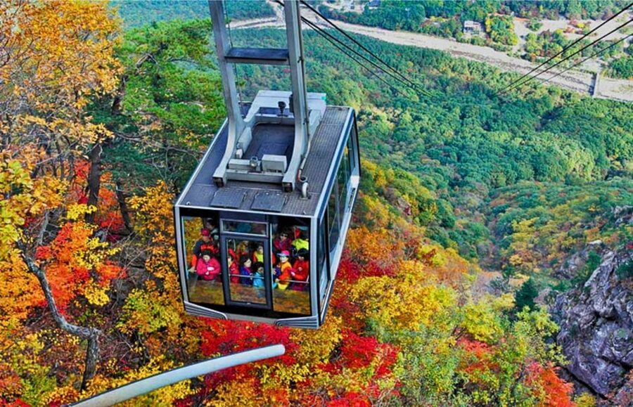 From Seoul: Seoraksan Mountain with Cable Car- Shuttle Bus - Sinheungsa Temple and the bronze Buddha