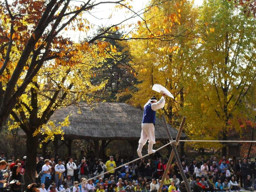 From Seoul: Suwon Hwaseong Fortress Tour - Should you book the Suwon Hwaseong tour?