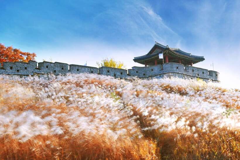 From Seoul: Suwon Hwaseong Fortress Tour - The walk around Hwaseong Fortress