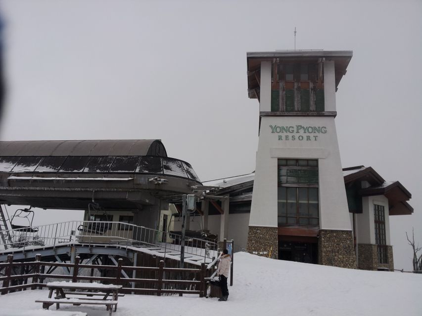 From Seoul: Yongpyong Ski Day Tour with Transportation - Why Yongpyong makes a strong Seoul day trip