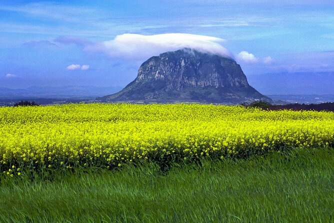 Full Day 12 hours whole Jeju Island private flexible tour - Key points at a glance