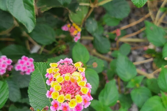Full Day 12 hours whole Jeju Island private flexible tour - The value of seeing major attractions in one day