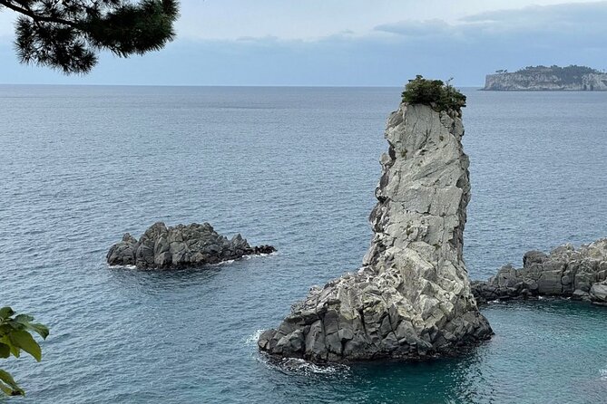 Full Day 12 hours whole Jeju Island private flexible tour - Driver support and the human side of the day