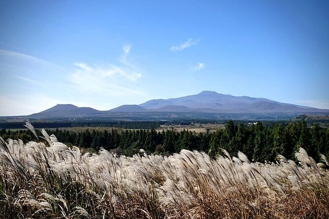 Full Day 12 hours whole Jeju Island private flexible tour - Building a sunrise-to-sunset itinerary