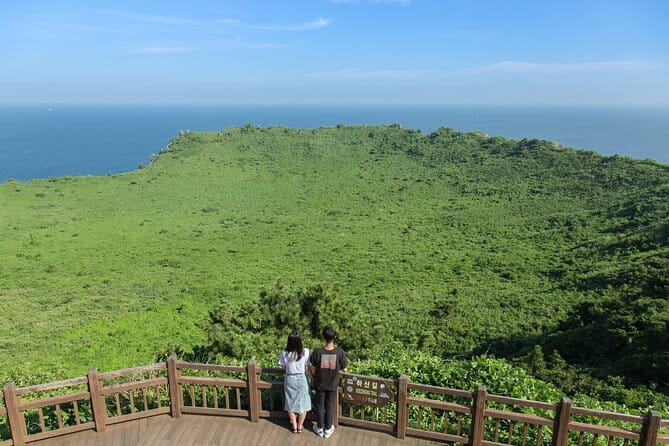 Full-day Customizable Private Jeju Island Tour - Why private transport makes Jeju easier