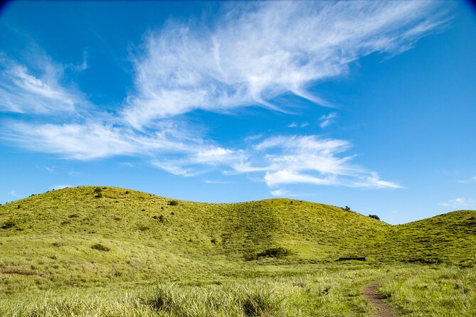 Full Day Essential Jeju Island Private tour for West Course - Osulloc Tea Museum and Jeju’s tea fields
