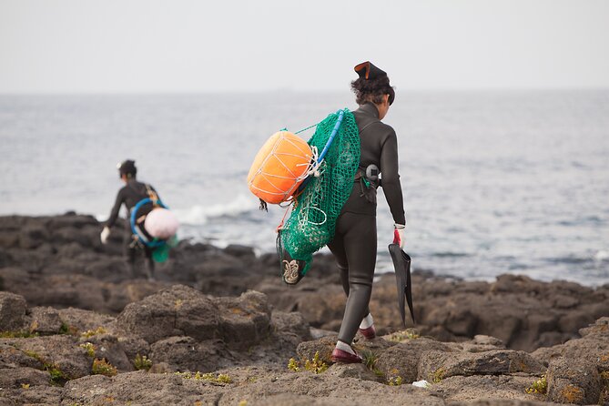 Full Day Essential Jeju Island Private tour for West Course - Lunch, entrance fees, and the real cost