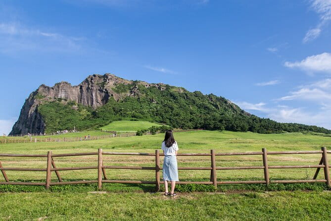 Full Day Jeju Private Customizable highlight Tour - Hallasan and the limits of one day