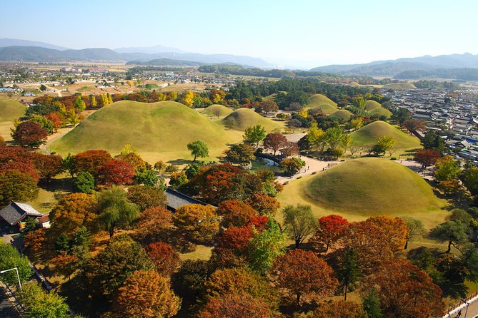 Full day Private Gyeongju UNESCO Heritage Tour : a glimpse into Silla - Donggung Palace and Wolji Pond
