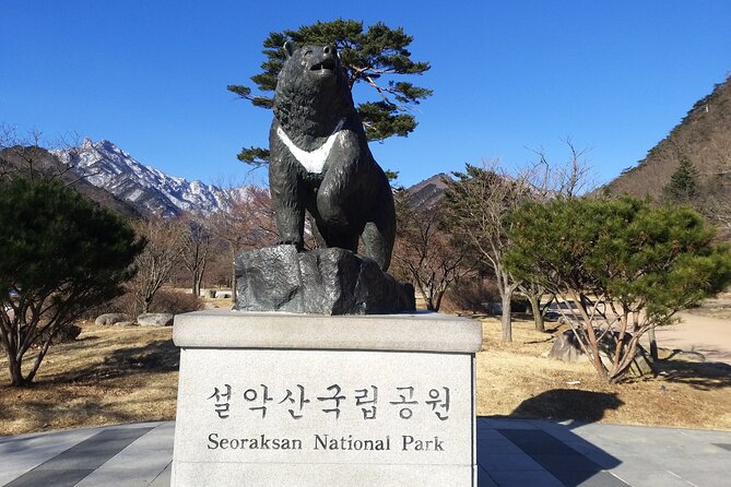 Full-Day Tour in Mt. Seorak & Nami (+Rail Bike Option) - Why this day trip reaches so much from Seoul