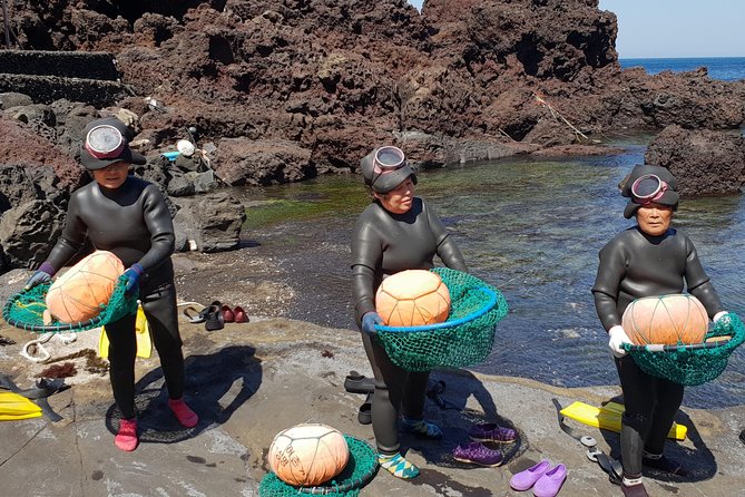 Fully Customizable Private Tour of Jeju Island - What the $400 price really buys