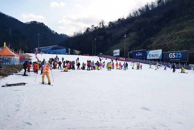 Gangchon Elysian Ski Day Trip from Seoul - From Seoul streets to Gangchon snow