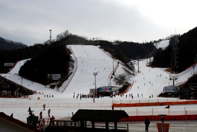 Gangchon Elysian Ski Day Trip from Seoul - The possible shopping stop
