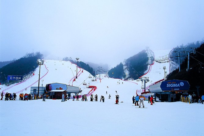 Gangchon Elysian Ski Day Trip from Seoul - Getting to the bus at the right time