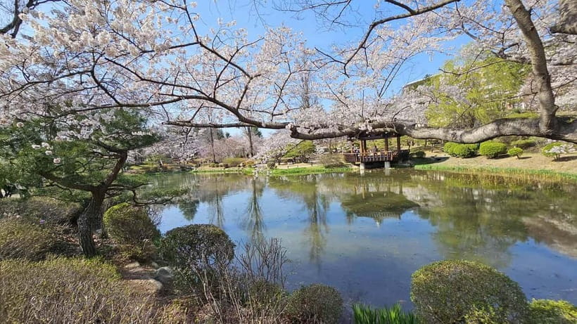 Gyeongju: Private Car Charter Taxi Tour - The eight-hour route for serious sightseeing