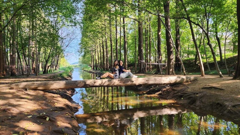 Gyeongju: Private Car Tour with a Licensed Tour Guide - Choosing the right tour length and route