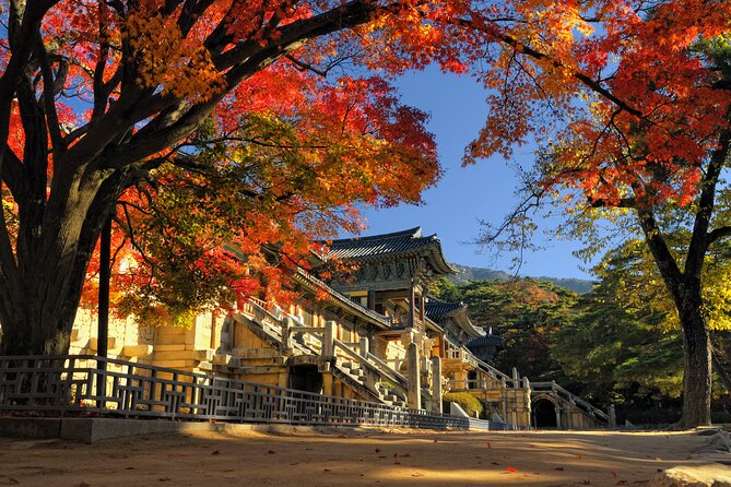 Gyeongju UNESCO sites Private tour with licensed tour guide - Cheomseongdae, an ancient stone observatory