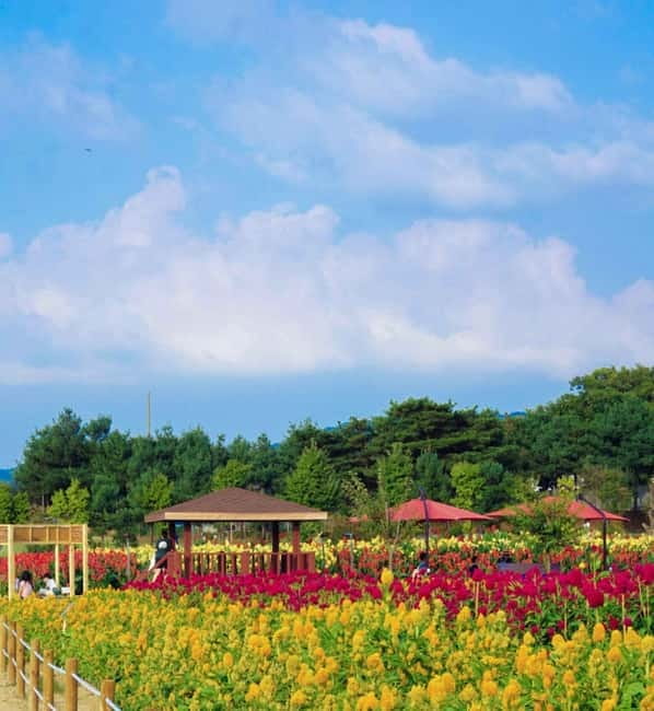 Hantan Canyon & Goseokjeong Flower Garden & Pink Muhly Park - What the drive from Seoul means for your day