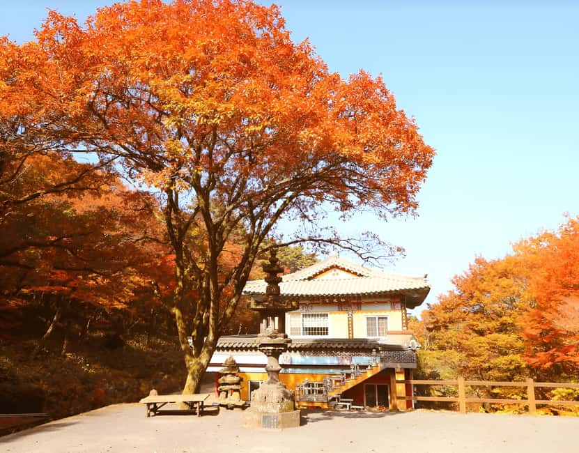 Jeju: 2026 Autumn Tour with Pink Muhly Festival Hotel Pickup - Ilchul Land and Micheon Cave