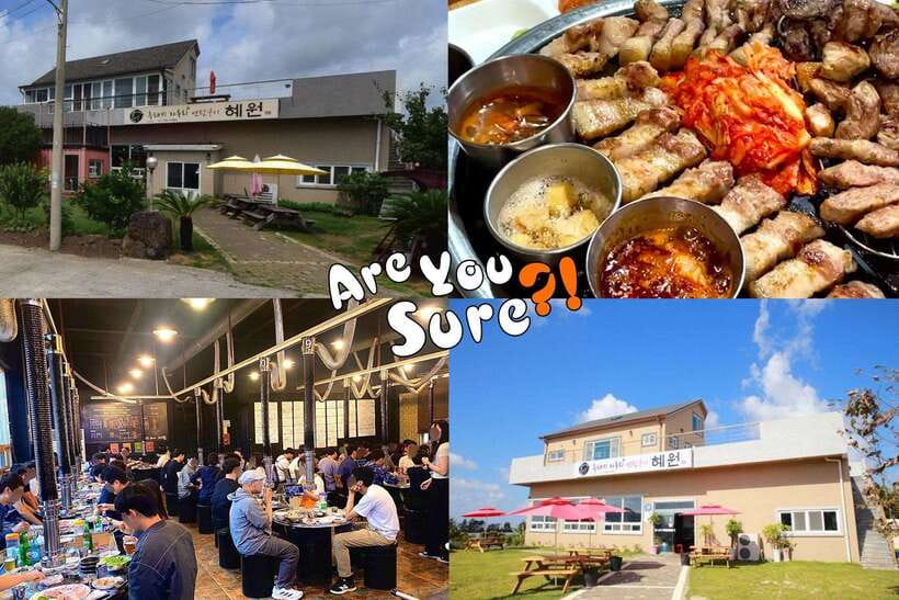 Jeju: BTS Are You Sure?! Filming Locations Private Taxi Tour - Pickup, communication, and schedule changes