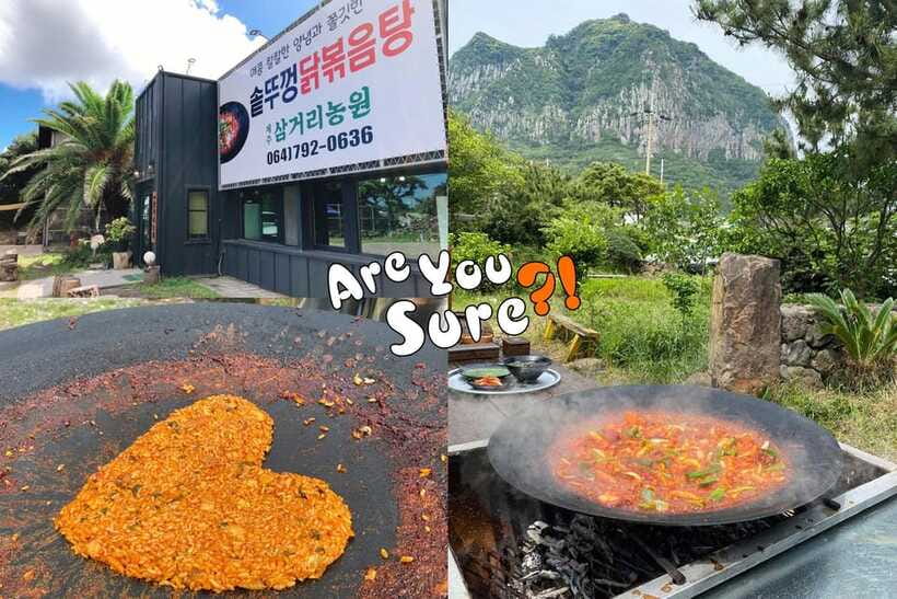 Jeju: BTS Are You Sure?! Filming Locations Private Taxi Tour - What you pay for, and what you do not