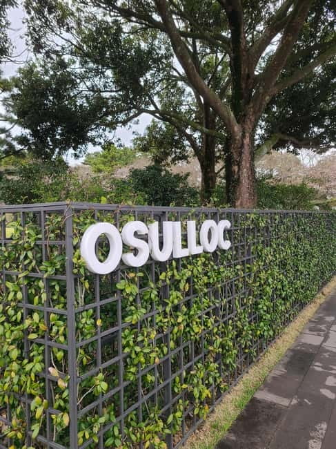Jeju: Cherry Blossom South & West Day Tour with Hotel Pickup - Why this route works for a first Jeju day
