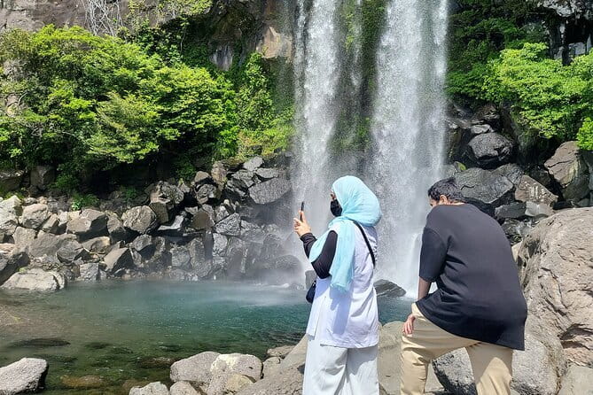 Jeju Customize Private VAN Tour of East or West or South (~8pax) - Camellia Hill for gardens and seasonal color