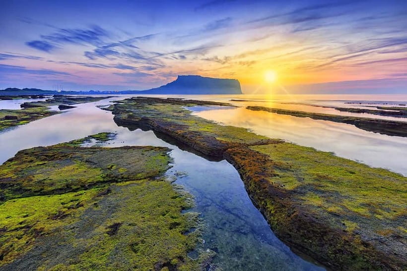 Jeju: Customized Private Vehicle Day Tour - Key points to know before booking