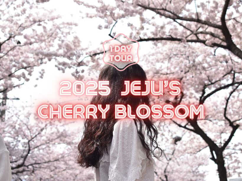 Jeju East: Cherry Blossom Early Bird Tour with Hotel Pickup - Jeonnong-ro begins the flower hunt