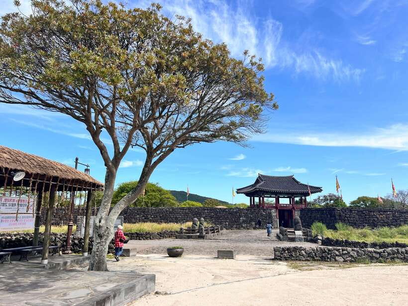 Jeju: East of Jeju Island Bus Tour from Seogwipo City - Why this eastern Jeju route works so well