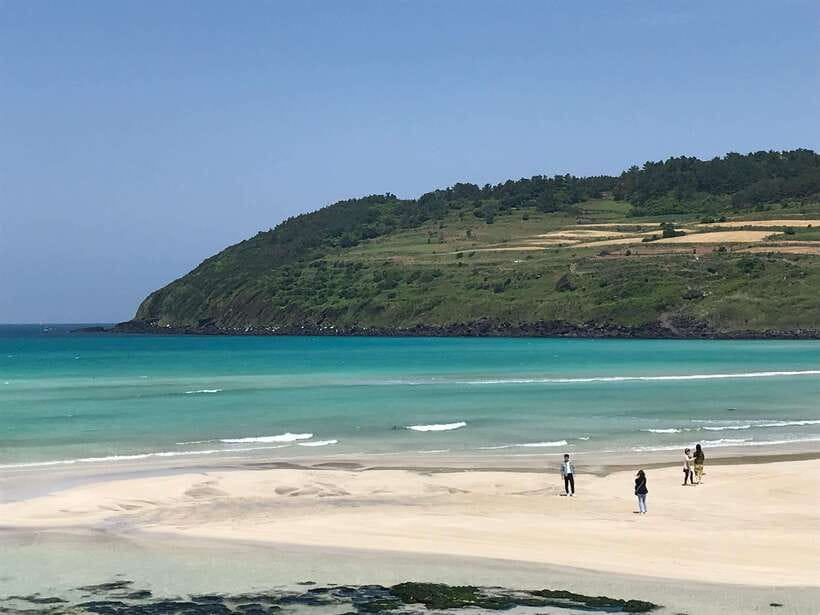 Jeju: East of Jeju Island Bus Tour from Seogwipo City - Weather, clothing, and walking demands