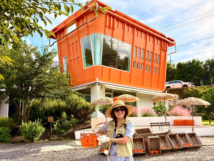 Jeju East: Small Group Healing Tour w/Woman Divers Show - Why this eastern Jeju route works