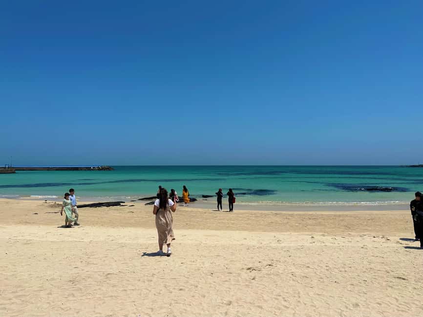 Jeju East: Small Group Healing Tour w/Woman Divers Show - Bijarim Forest offers shade, silence, and very old trees