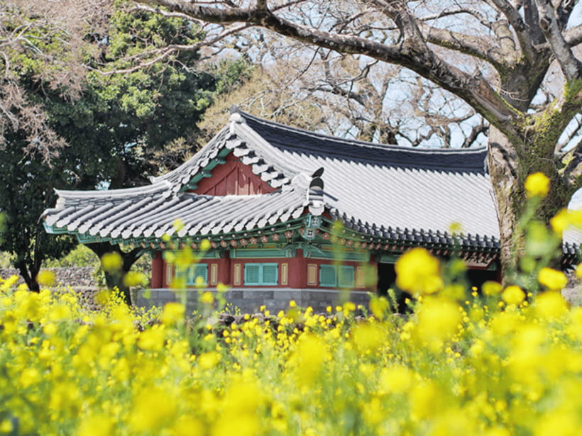 Jeju: Eastern Jeju UNESCO Spots Day Tour - The Haenyeo Museum and Jeju’s sea women