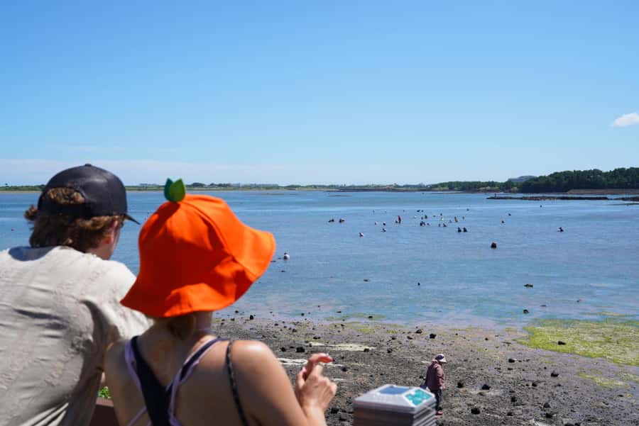 Jeju: Eastern UNESCO Join in Tour (Seongsan, Haenyeo) - Four pickup points around Jeju City
