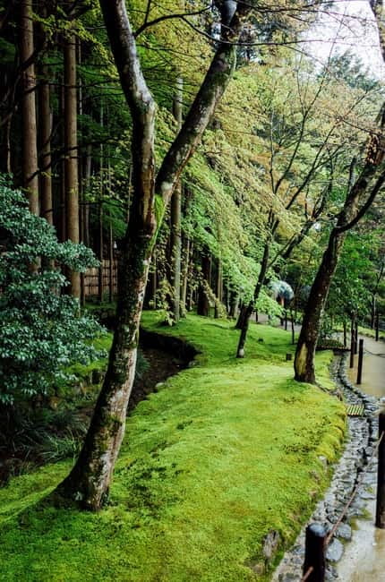 Jeju Highlights Day Trip (East Course) - Who should book this eastern Jeju tour?