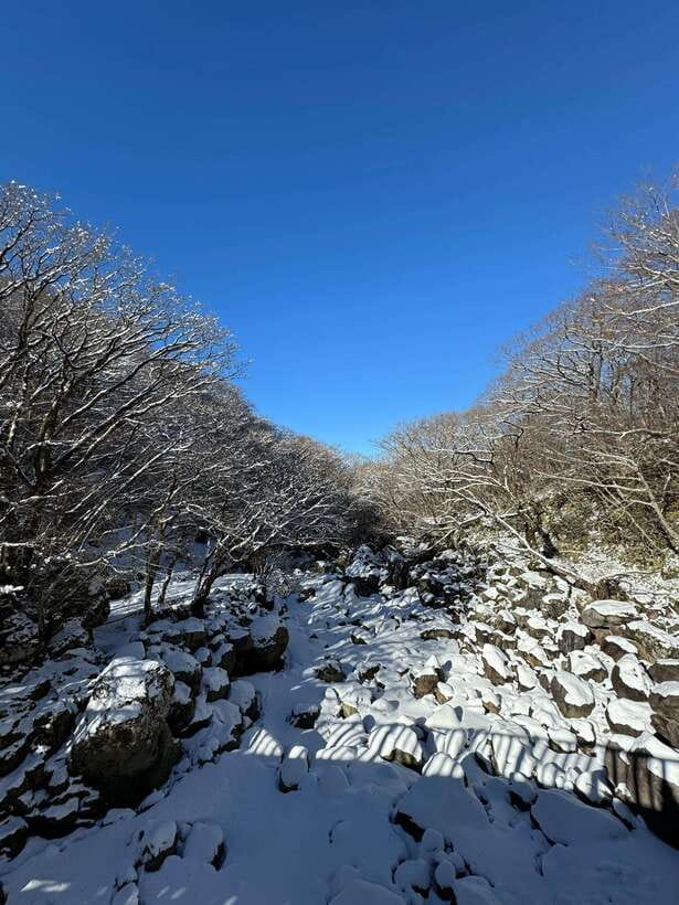 Jeju: Hiking Mt. Hallasan, South Korea's Highest Mountain - Descending the Yeongsil Course