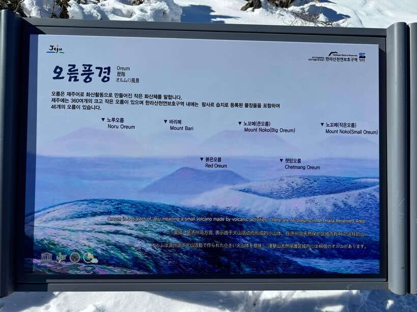 Jeju: Hiking Mt. Hallasan, South Korea's Highest Mountain - What the $103 Price Covers