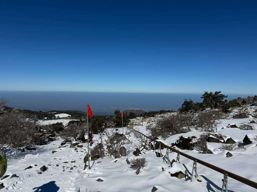 Jeju: Hiking Mt. Hallasan, South Korea's Highest Mountain - Who Should Book This Hike?