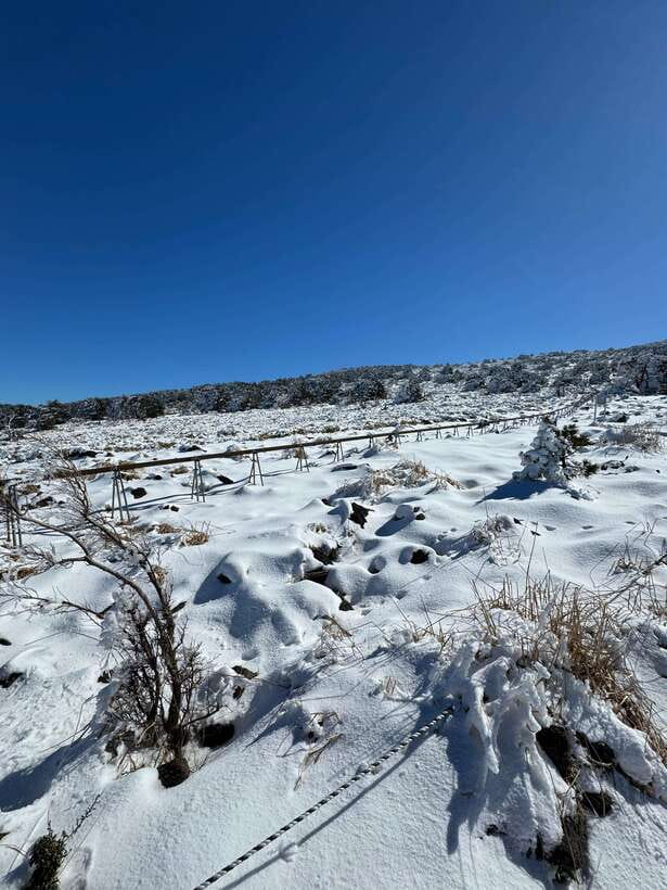 Jeju: Hiking Mt. Hallasan, South Korea's Highest Mountain - Should You Book the Eorimok to Yeongsil Hike?