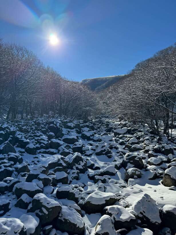 Jeju: Hiking Mt. Hallasan, South Korea's Highest Mountain - The Eorimok Course and Hallasan’s Forest