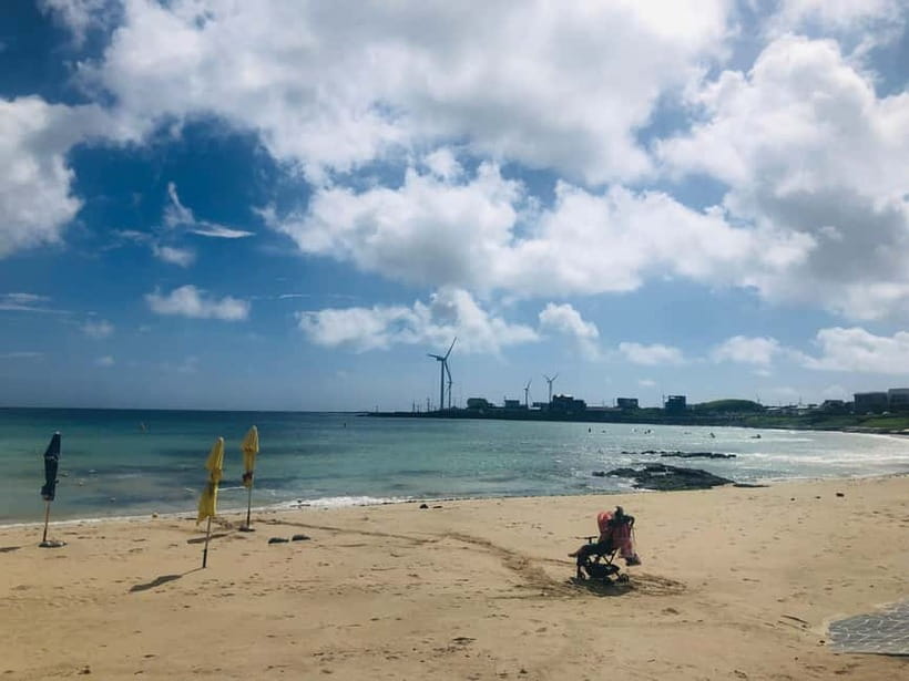 Jeju Island: Customized Private Full-Day Van Tour - Key points to know before booking